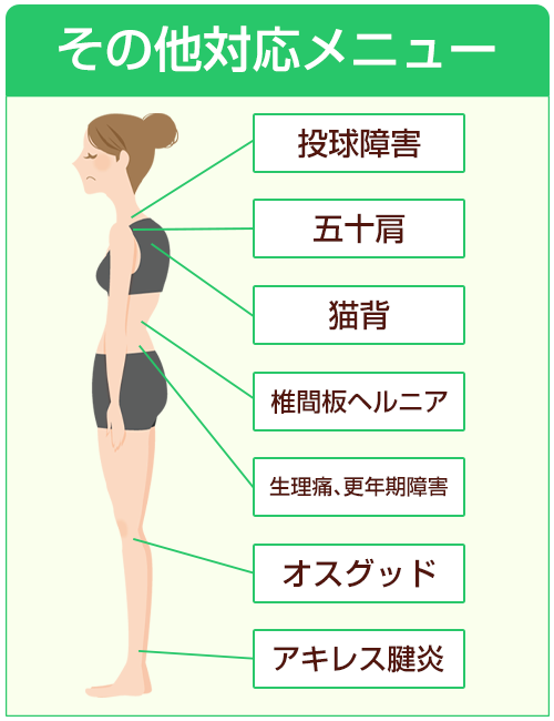 対応メニュー